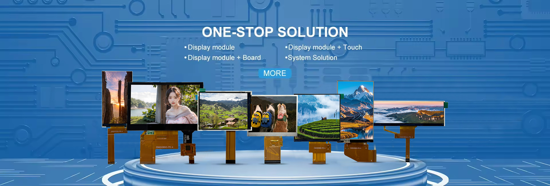 Qualità Modulo TFT display a cristalli liquidi fabbrica