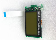 ISO14001 LCD dei DENTI grafico 132 x 64 del modulo della lampadina verde ha approvato il funzionamento 3.3V